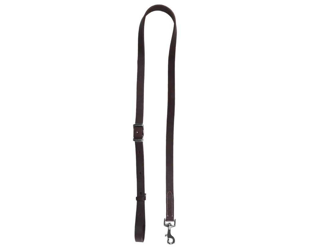 Fort Worth Abilene Series Tie Down Strap - Brown
