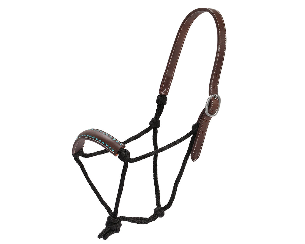 Beautifully crafted halter with stainless steel fittings. Shop now at Greg Grant Saddlery for premium quality horse tack