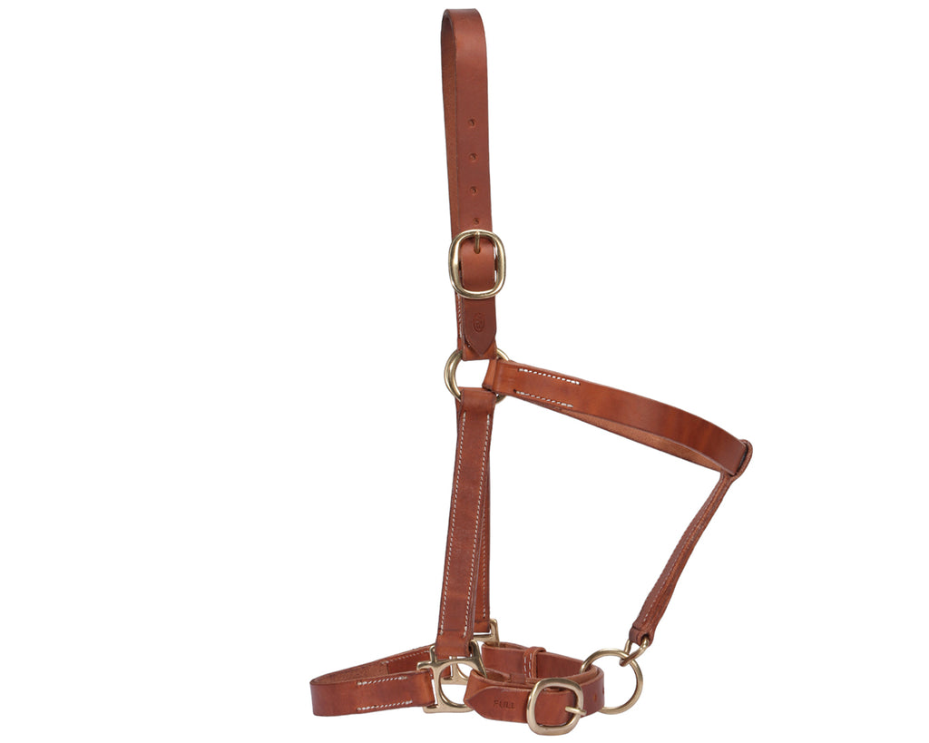 Fort Worth Leather Halter w/Curb Adjustment