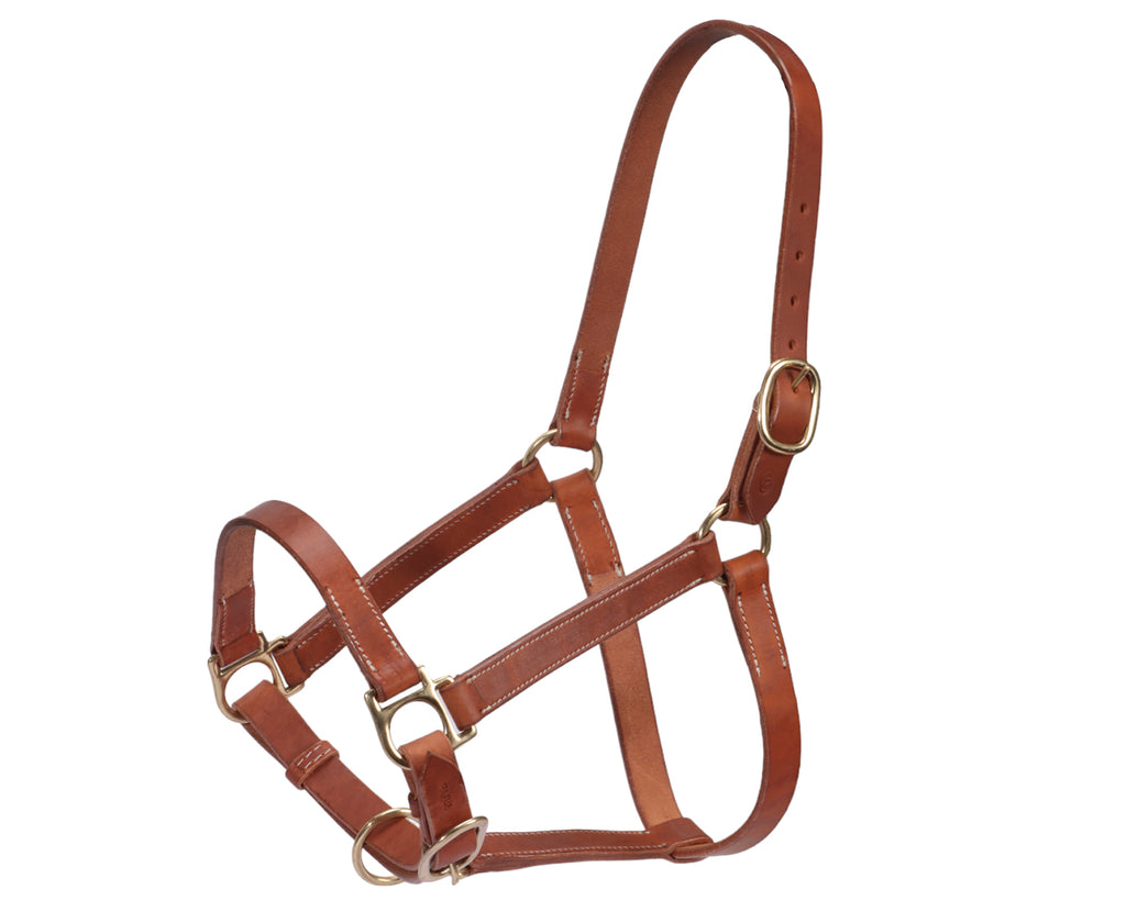 Fort Worth Leather Halter w/Curb Adjustment