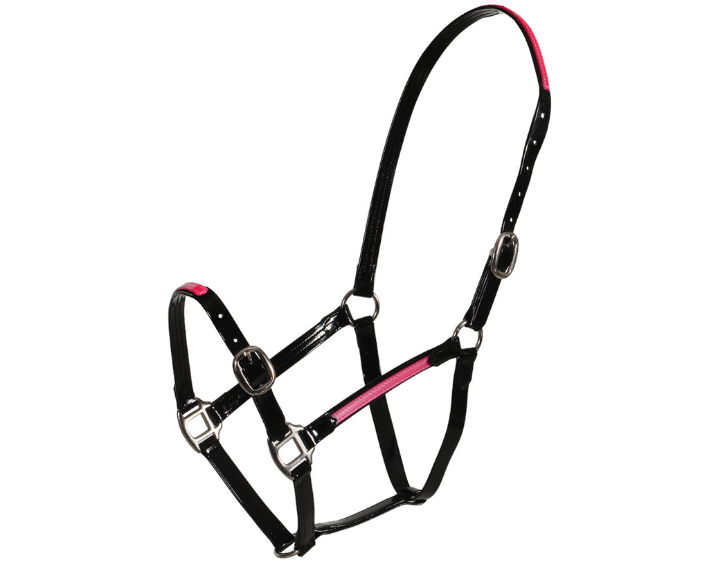 Fort Worth PVC Overlay Halter. The halter is made of high-quality PVC coated over Polyester Webbing, with visible stitching and metal hardware. The PVC material has a glossy finish and is available in various vibrant colors. The halter features a buckle closure and adjustable straps. The overall design is sleek and stylish, suitable for different personalities and styles.