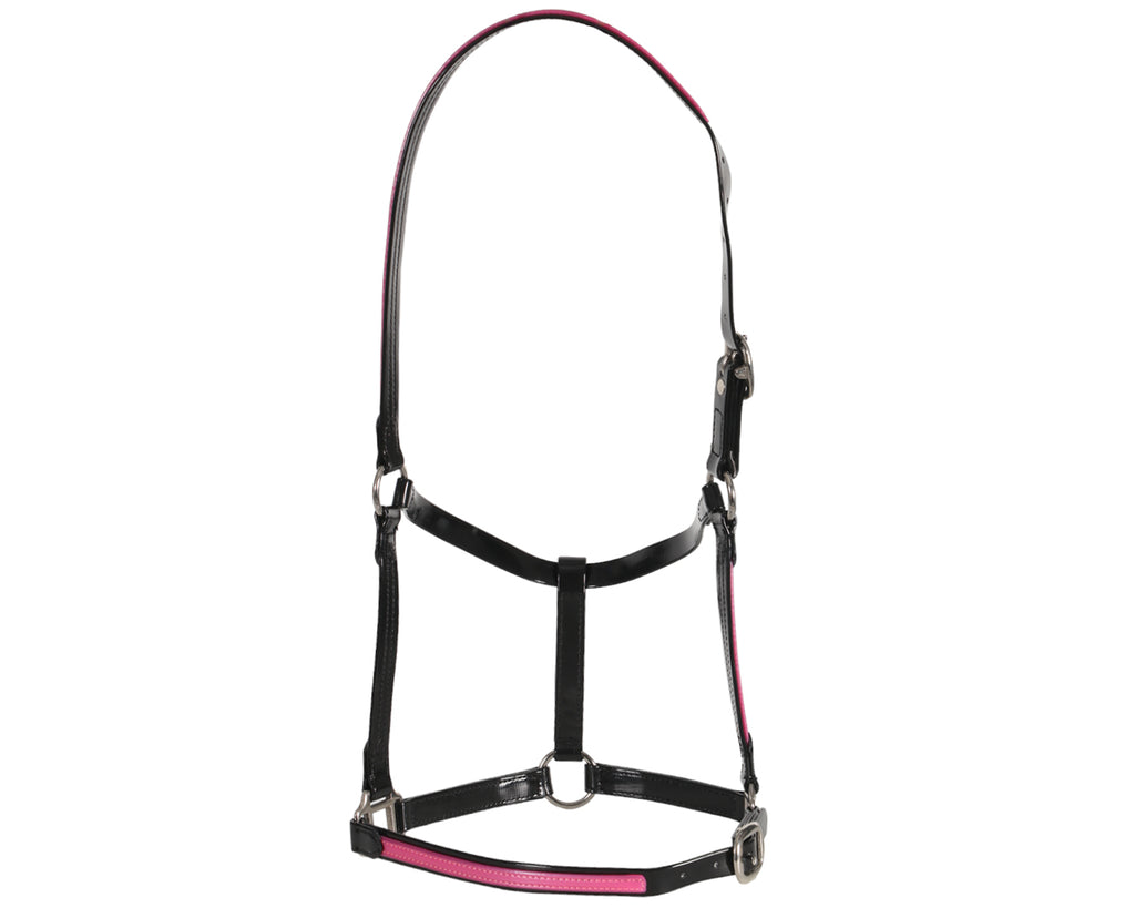 Fort Worth PVC Overlay Halter. The halter is made of high-quality PVC coated over Polyester Webbing, with visible stitching and metal hardware. The PVC material has a glossy finish and is available in various vibrant colors. The halter features a buckle closure and adjustable straps. The overall design is sleek and stylish, suitable for different personalities and styles.