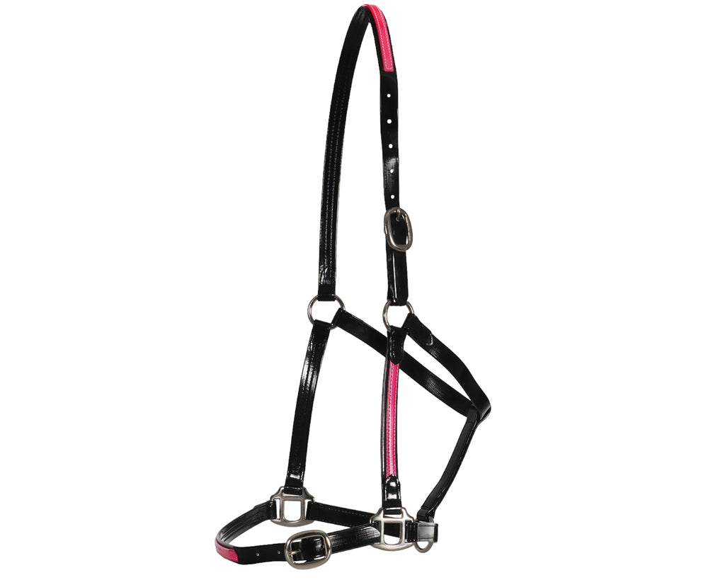 Fort Worth PVC Overlay Halter. The halter is made of high-quality PVC coated over Polyester Webbing, with visible stitching and metal hardware. The PVC material has a glossy finish and is available in various vibrant colors. The halter features a buckle closure and adjustable straps. The overall design is sleek and stylish, suitable for different personalities and styles.