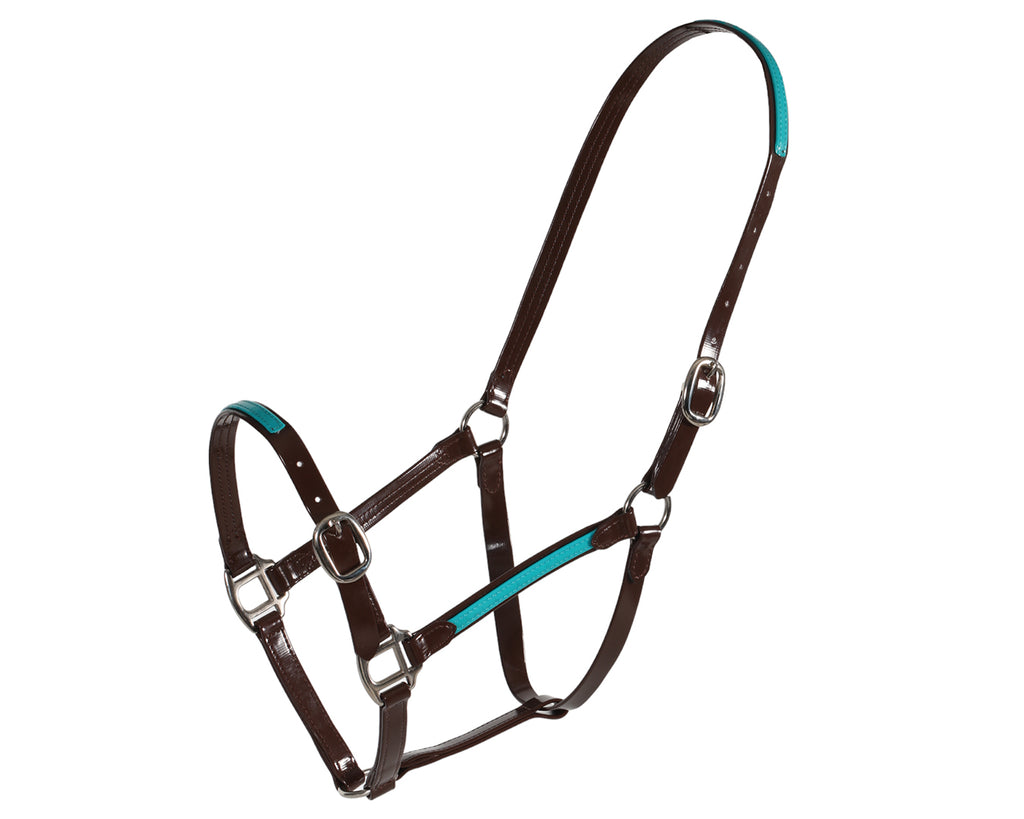 Fort Worth PVC Overlay Halter. The halter is made of high-quality PVC coated over Polyester Webbing, with visible stitching and metal hardware. The PVC material has a glossy finish and is available in various vibrant colors. The halter features a buckle closure and adjustable straps. The overall design is sleek and stylish, suitable for different personalities and styles.
