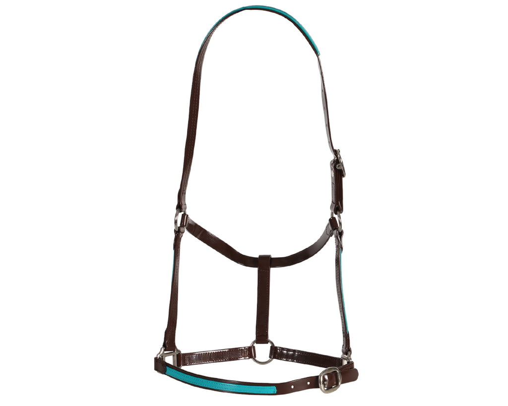 Fort Worth PVC Overlay Halter. The halter is made of high-quality PVC coated over Polyester Webbing, with visible stitching and metal hardware. The PVC material has a glossy finish and is available in various vibrant colors. The halter features a buckle closure and adjustable straps. The overall design is sleek and stylish, suitable for different personalities and styles.