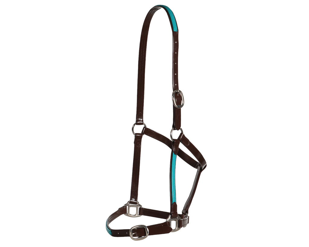 Fort Worth PVC Overlay Halter. The halter is made of high-quality PVC coated over Polyester Webbing, with visible stitching and metal hardware. The PVC material has a glossy finish and is available in various vibrant colors. The halter features a buckle closure and adjustable straps. The overall design is sleek and stylish, suitable for different personalities and styles.