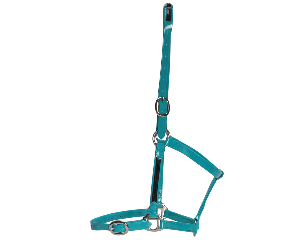 Fort Worth PVC Overlay Halter. The halter is made of high-quality PVC coated over Polyester Webbing, with visible stitching and metal hardware. The PVC material has a glossy finish and is available in various vibrant colors. The halter features a buckle closure and adjustable straps. The overall design is sleek and stylish, suitable for different personalities and styles.