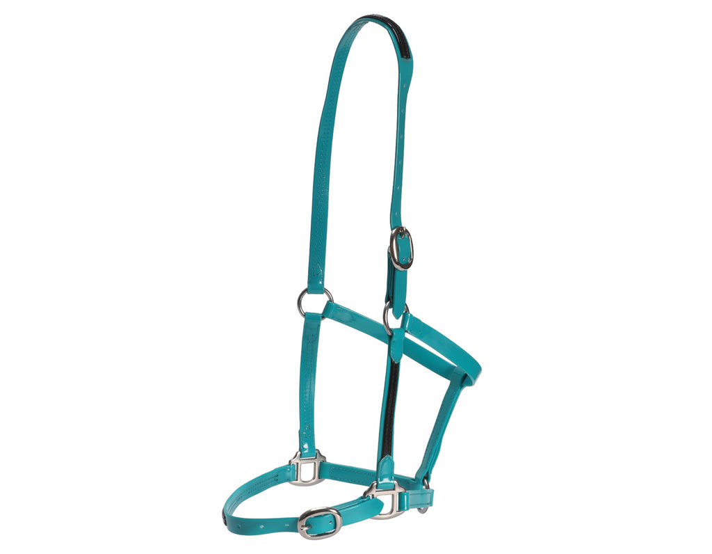 Fort Worth PVC Overlay Halter. The halter is made of high-quality PVC coated over Polyester Webbing, with visible stitching and metal hardware. The PVC material has a glossy finish and is available in various vibrant colors. The halter features a buckle closure and adjustable straps. The overall design is sleek and stylish, suitable for different personalities and styles.