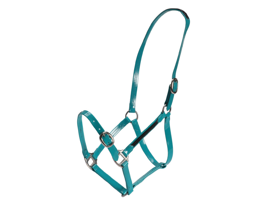 Fort Worth PVC Overlay Halter. The halter is made of high-quality PVC coated over Polyester Webbing, with visible stitching and metal hardware. The PVC material has a glossy finish and is available in various vibrant colors. The halter features a buckle closure and adjustable straps. The overall design is sleek and stylish, suitable for different personalities and styles.