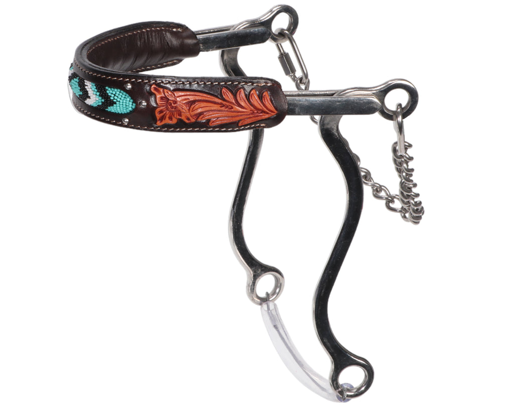 Fort Worth Stainless Steel Hackamore - Turquoise Beaded