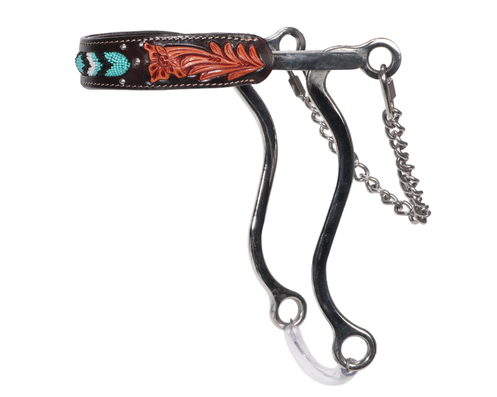 Fort Worth Stainless Steel Hackamore - Turquoise Beaded