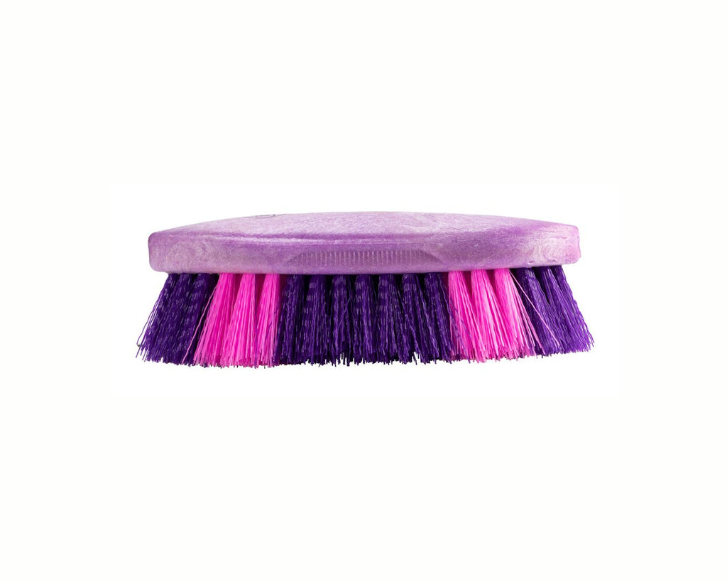 Conrad Dandy Brush - A dandy brush with two-tone bristles and a durable polymer backing. Ideal for grooming horses and ponies. Available at Greg Grant Saddlery. Best value for money.