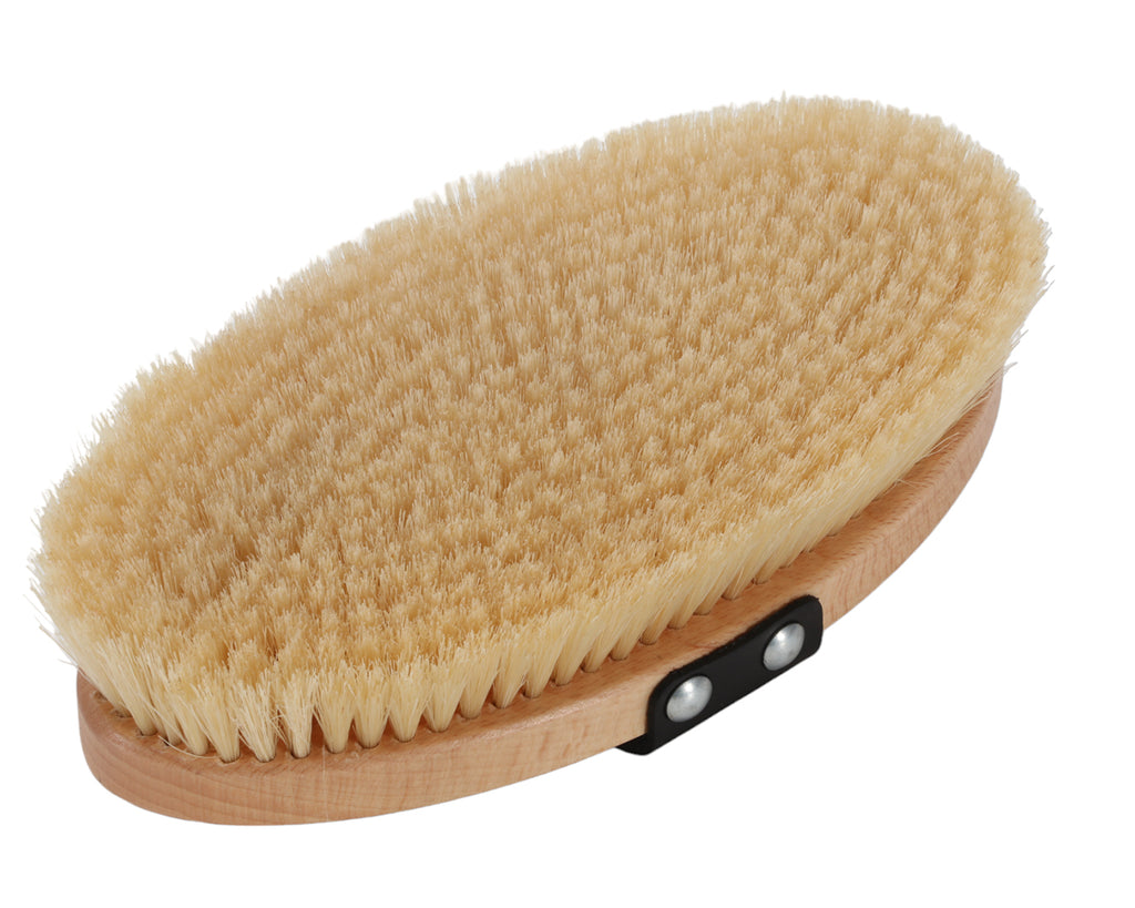 Equerry Pure Bristle Body Brush, image showing white bristles for brushing your horse