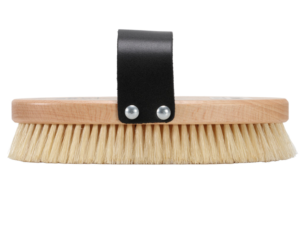 Equerry Pure Bristle Body Brush with white bristles, image showing side view