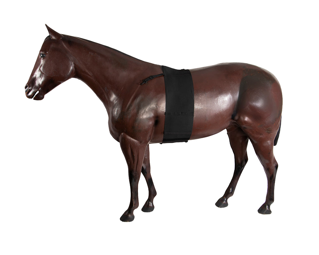 Equi-Prene Elastic Belly Bandage - FULL