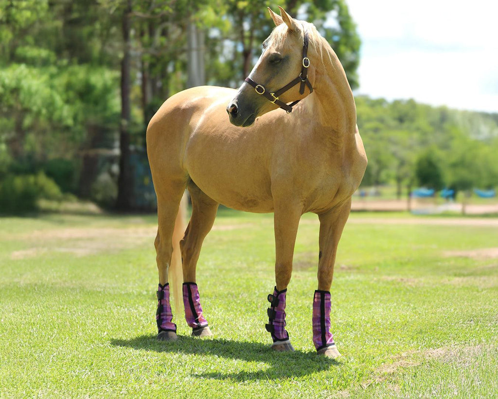 Kool Master PVC Mesh Fly Boots Pink - Set of 4