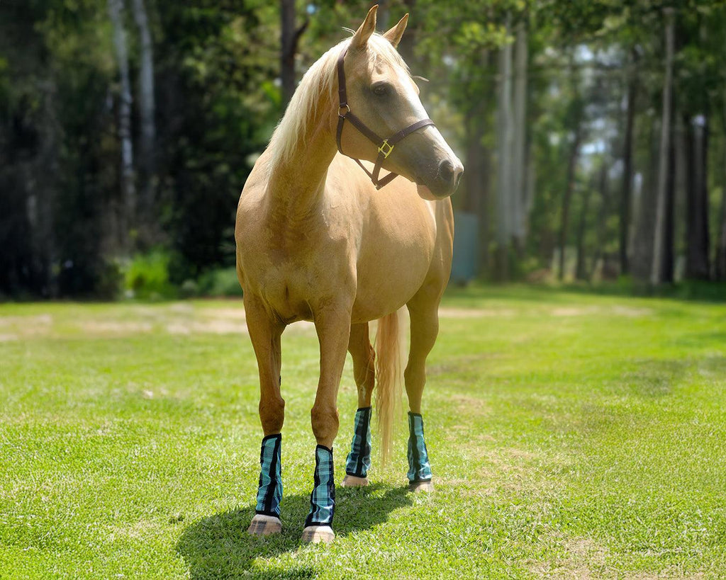 Kool Master PVC Mesh Fly Boots Turquoise - Set of 4