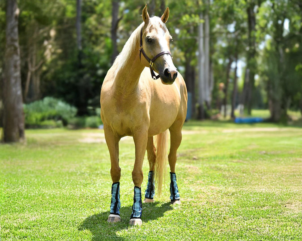 Kool Master PVC Mesh Fly Boots Turquoise - Set of 4