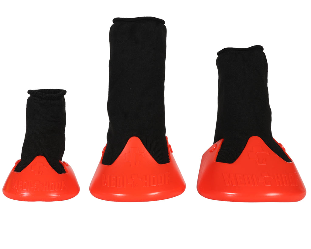 Medi-Hoof Treatment Boot