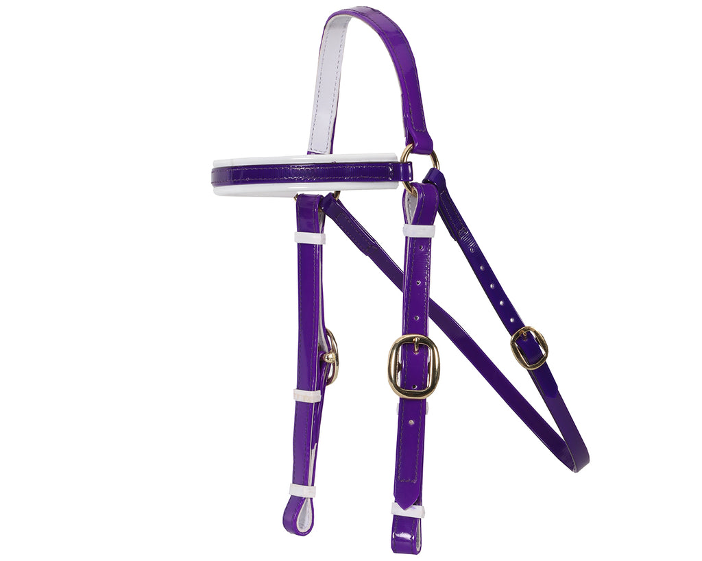 Horse Sense Barcoo Bridle Head - in Purple/White with Brass Fittings