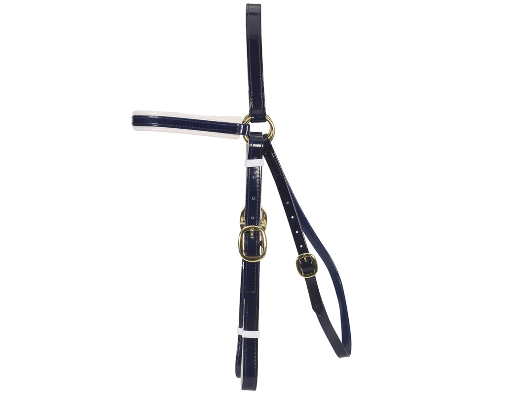 Horse Sense Barcoo Bridle Head - in Blue/White with Brass Fittings