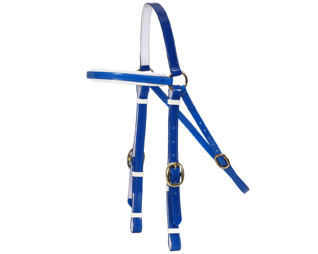 Horse Sense Barcoo Bridle Head - in Sky Blue/White with Brass Fittings
