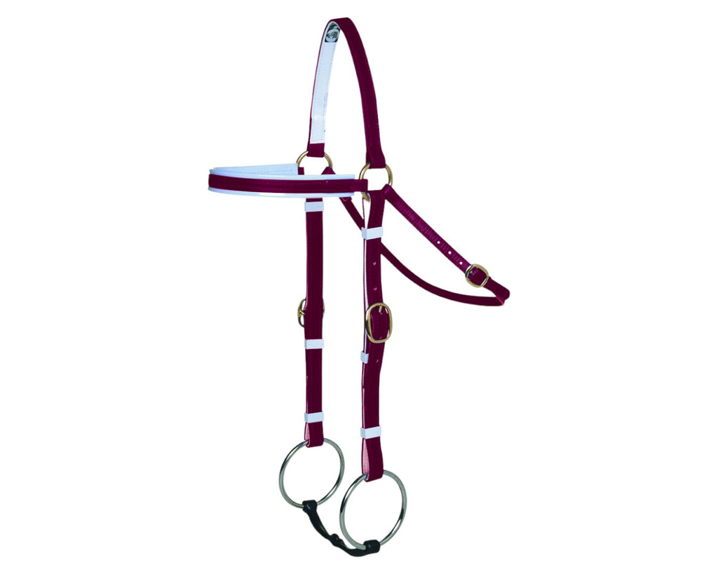 Horse Sense Barcoo Bridle Head - in Maroon/White with Brass Fittings