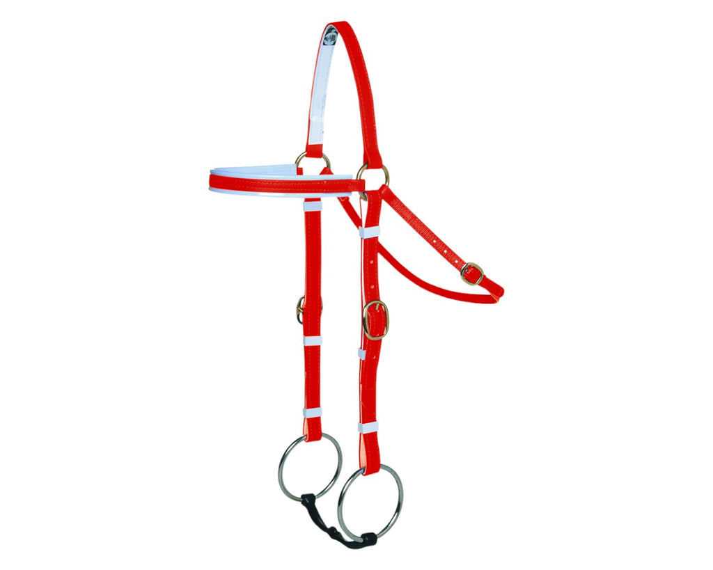 Horse Sense Barcoo Bridle Head - in Red/White with Brass Fittings