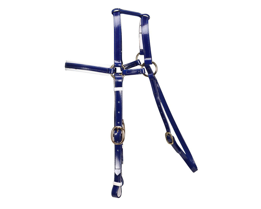 Horse Sense Extended Barcoo Bridle Head - Blue/White with Brass Fittings