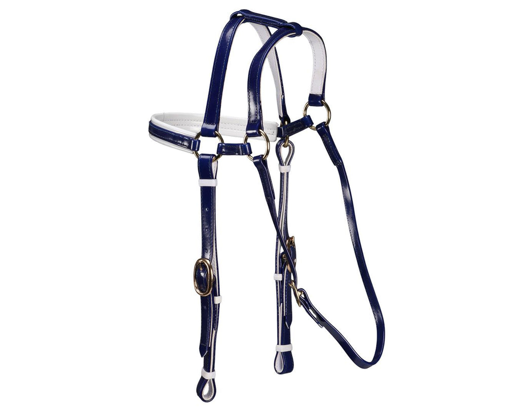 Horse Sense Extended Barcoo Bridle Head - Blue/White with Brass Fittings