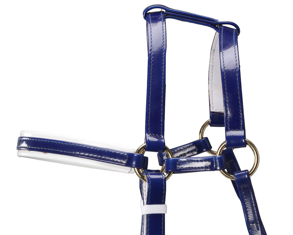 Horse Sense Extended Barcoo Bridle Head - Blue/White with Brass Fittings
