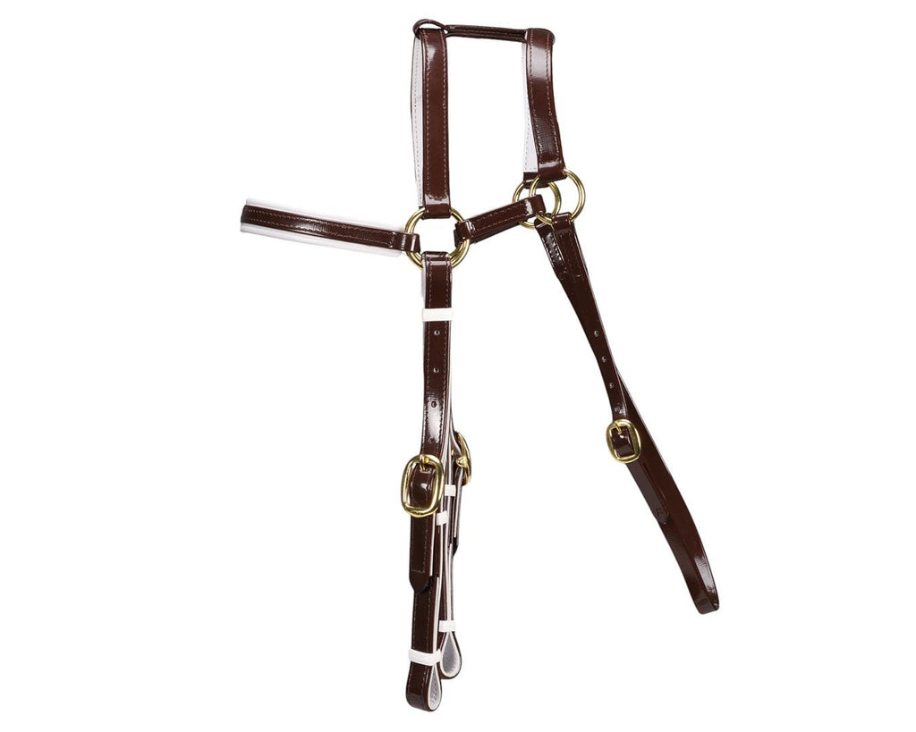 Horse Sense Extended Barcoo Bridle Head - Brown/White with Brass Fittings