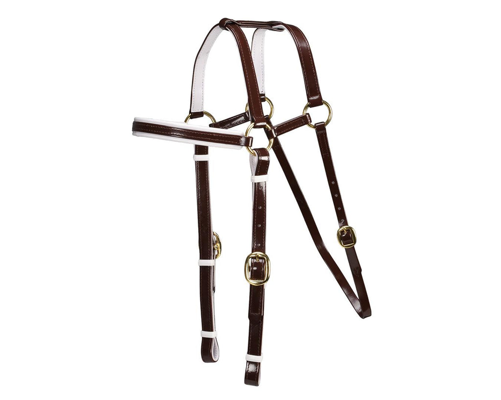 Horse Sense Extended Barcoo Bridle Head - Brown/White with Brass Fittings
