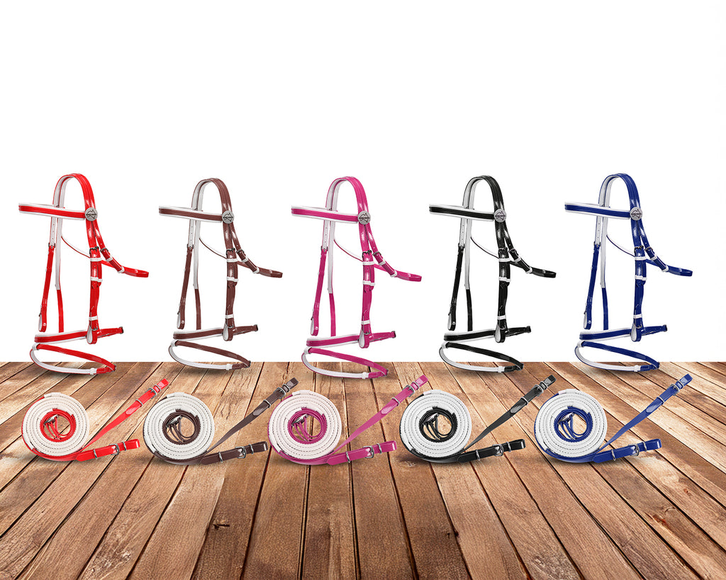 Horse Sense Eventing Bridle