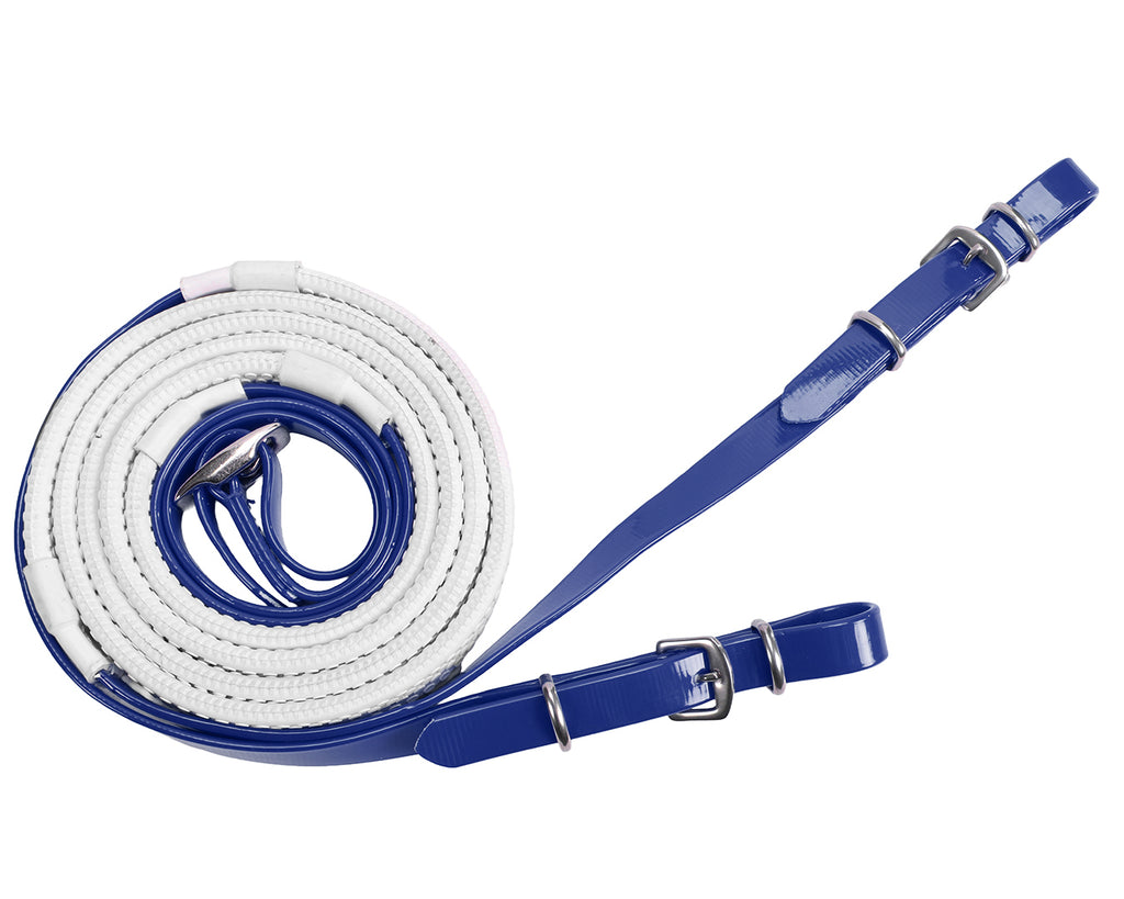 Horse Sense Eventing Bridle