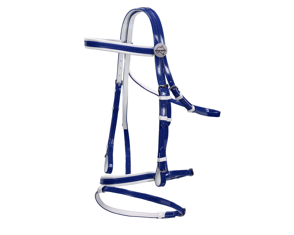 Horse Sense Eventing Bridle