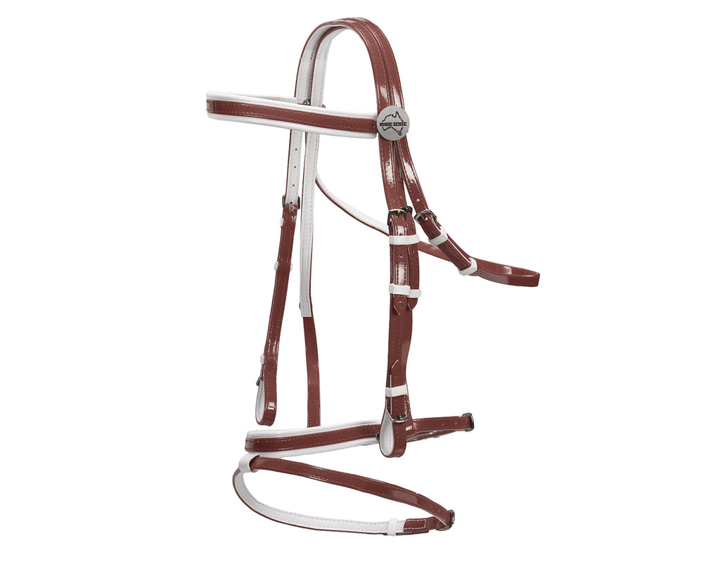 Horse Sense Eventing Bridle