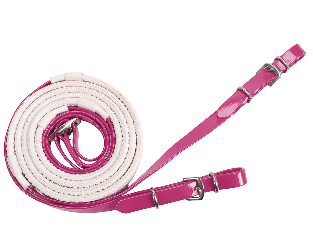 Horse Sense Eventing Bridle