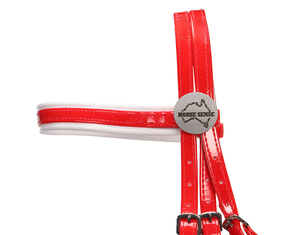 Horse Sense Eventing Bridle