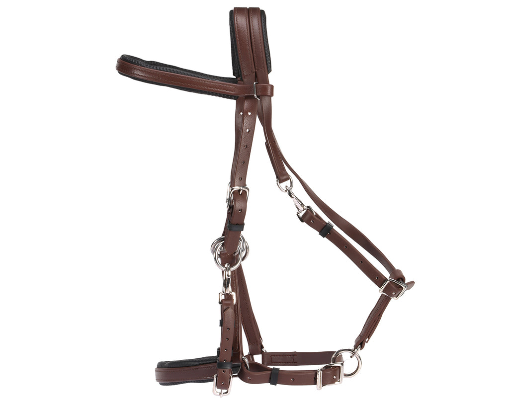Shop the Horse Sense Endurance Bridle at Greg Grant Saddlery for premium PVC strap goods designed for the equestrian industry. Made with durability, comfort, and functionality in mind, this Australian-owned brand delivers exceptional quality and performance. Explore the Horse Sense collection and experience the difference in quality and craftsmanship.