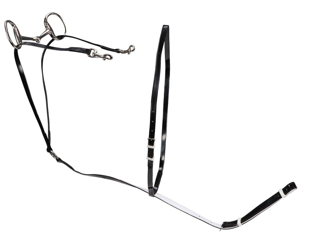 Horse Sense Market Harborough