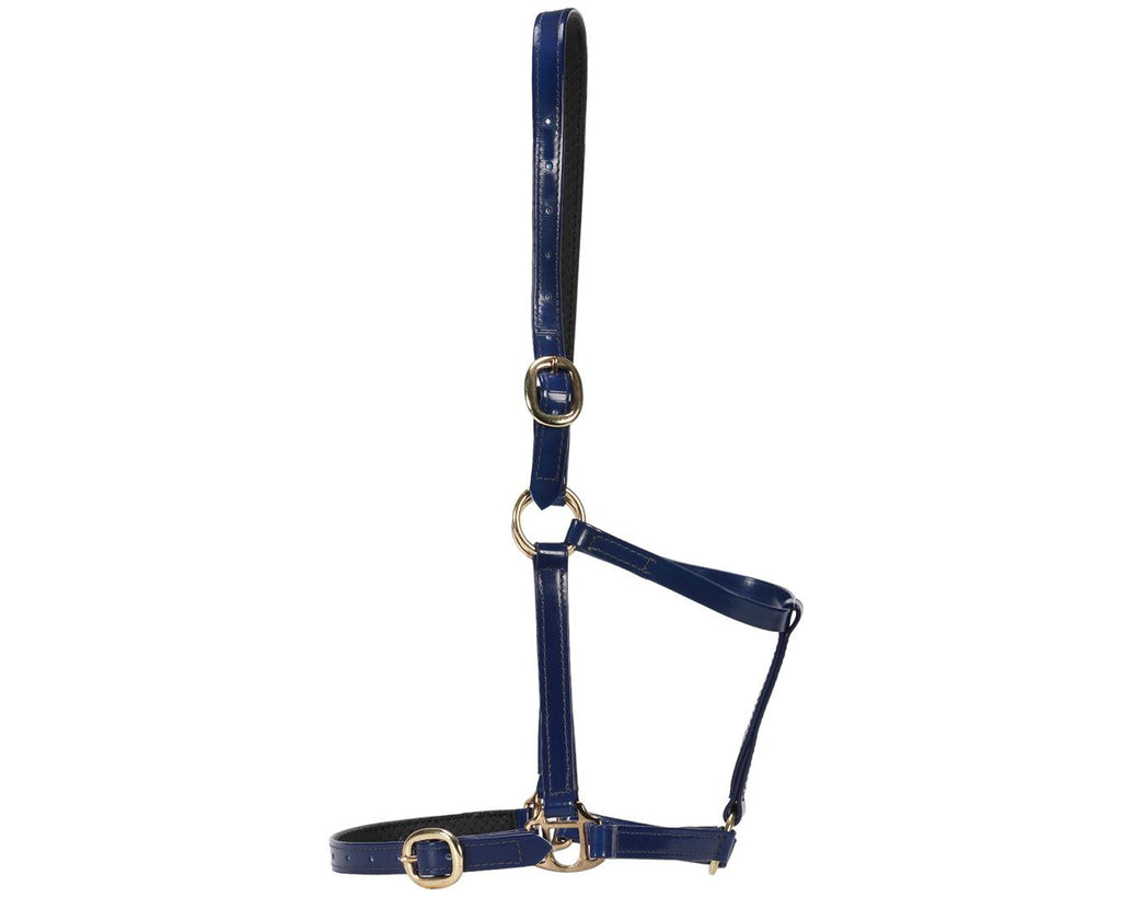 Horse Sense Designer Halter in Blue