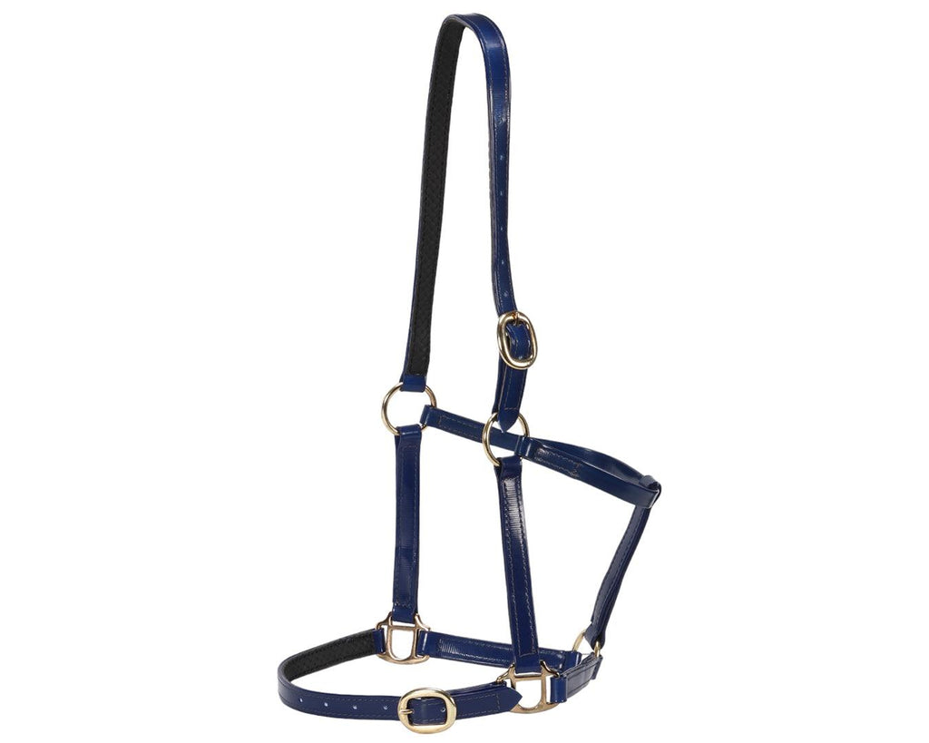 Horse Sense Designer Halter in Blue