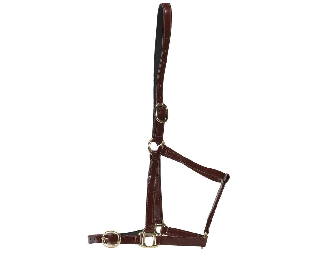 Horse Sense Designer Halter in Brown