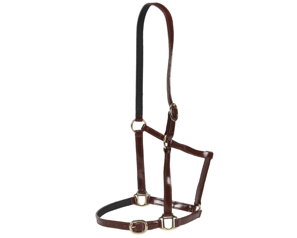 Horse Sense Designer Halter in Brown