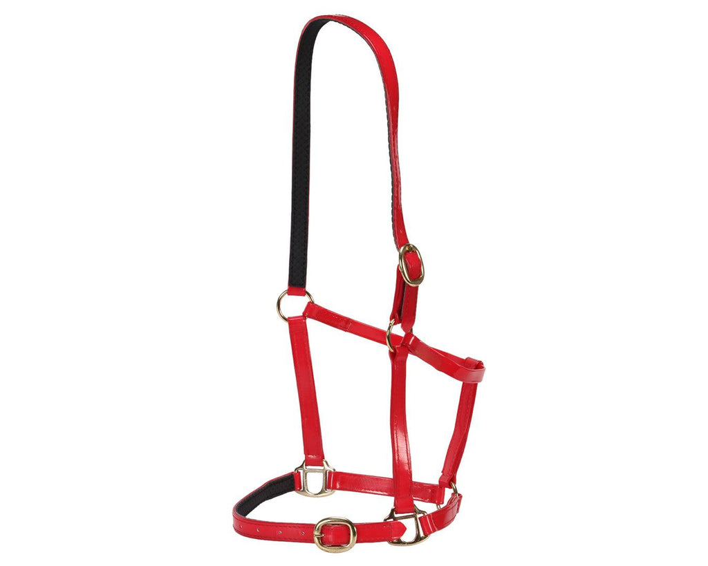 Horse Sense Designer Halter in Red