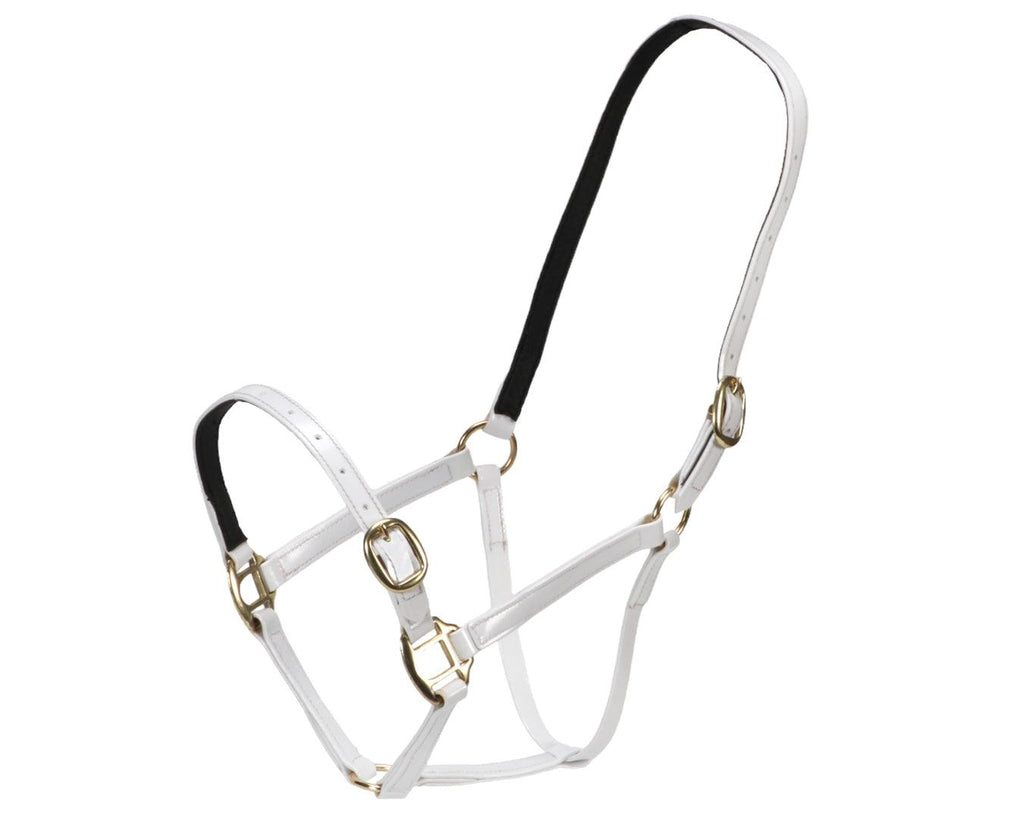 Horse Sense Designer Halter in White