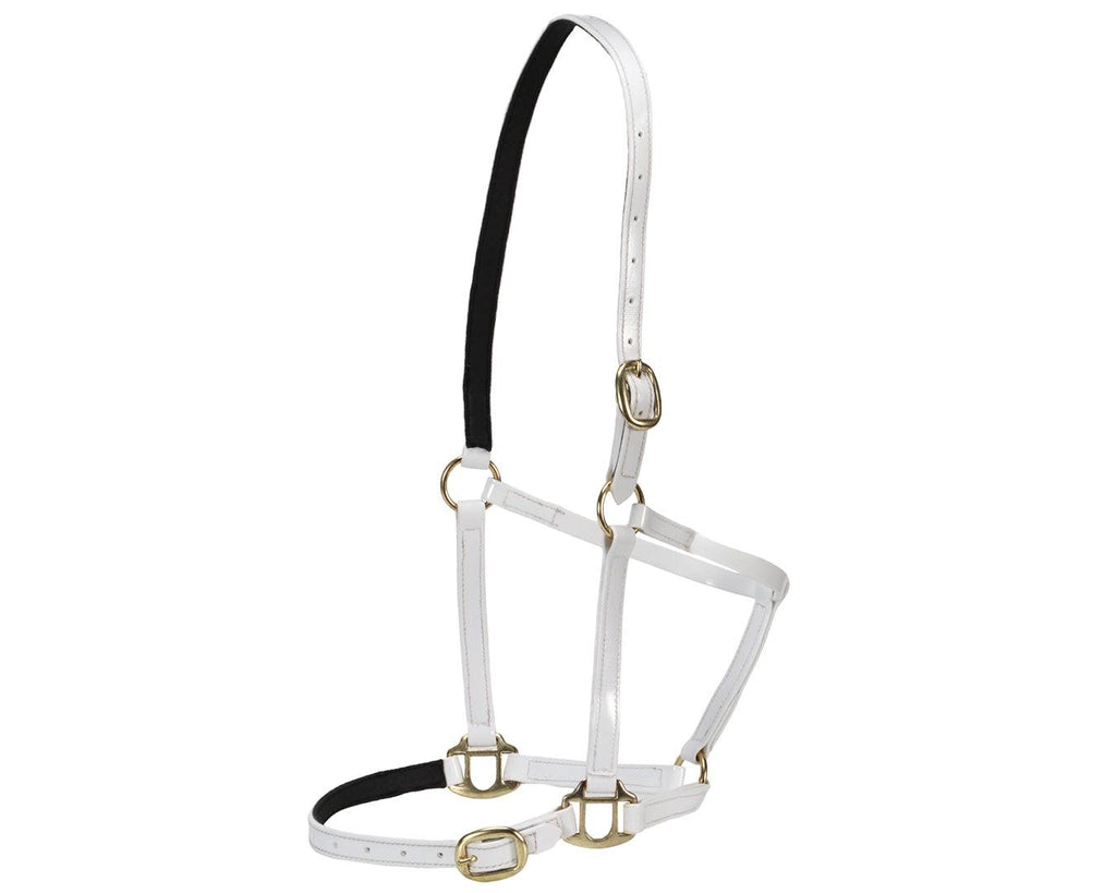 Horse Sense Designer Halter in White