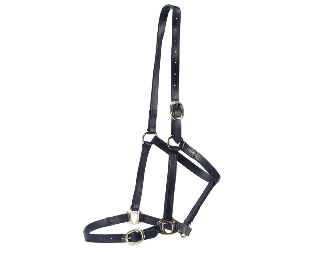 Horse Sense 3/4" PN Halter Brass