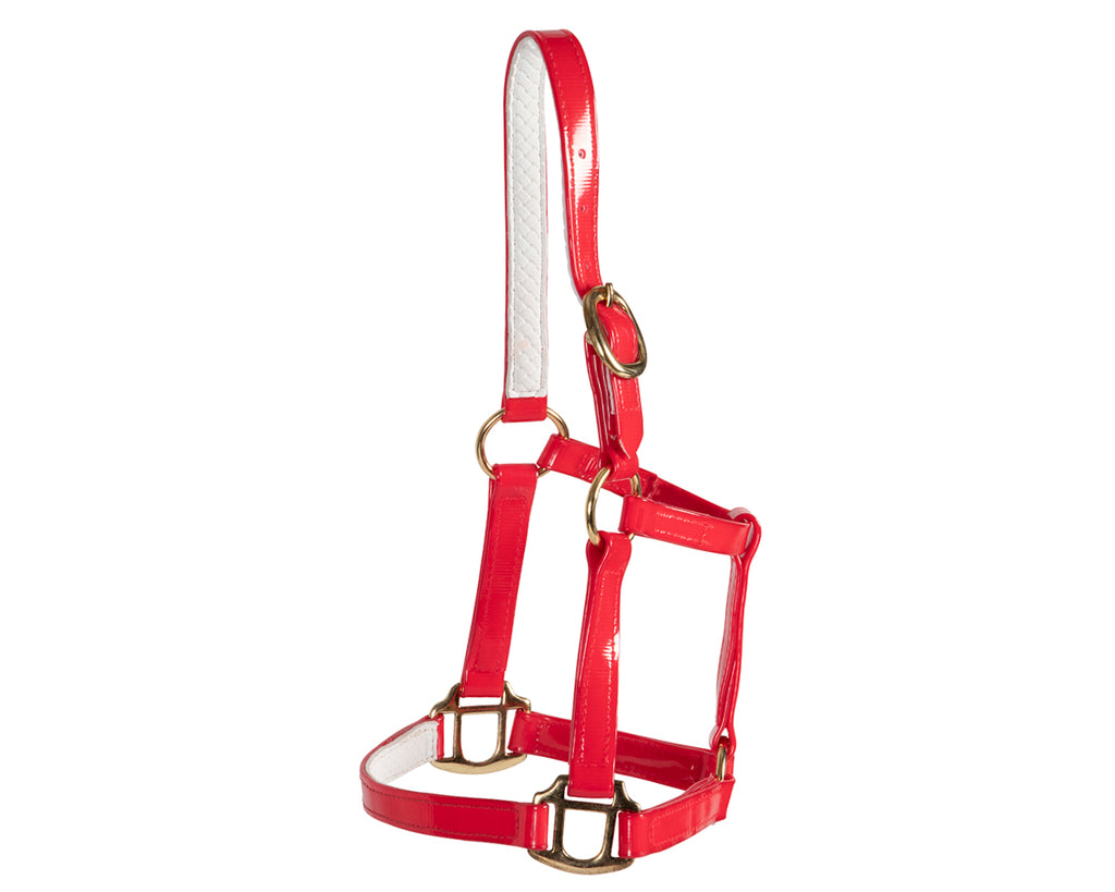 red foal halter - scaled-down halter expertly crafted with high-quality materials to ensure durability and comfort for your precious pony or foal